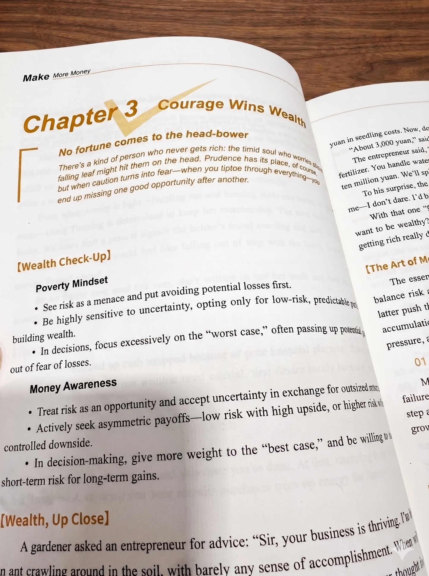 Make More Money: Master the Wealth Mindset